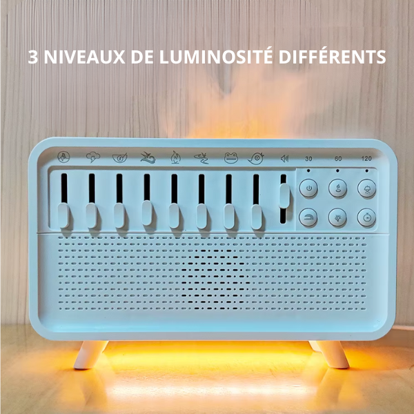 Diffuseur d’Aromathérapie & Humidificateur avec Bruit Blanc